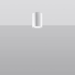 cd21819bbc4a47c8bebf8e1a3642eb99