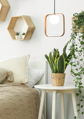 96eb210613cbb2002b85bae840f9e826