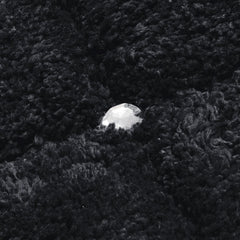 34af2833462a18bb5f8089cd314c32f4