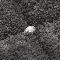 e2d5bf5215a417ed30f9a93a7bbca14c