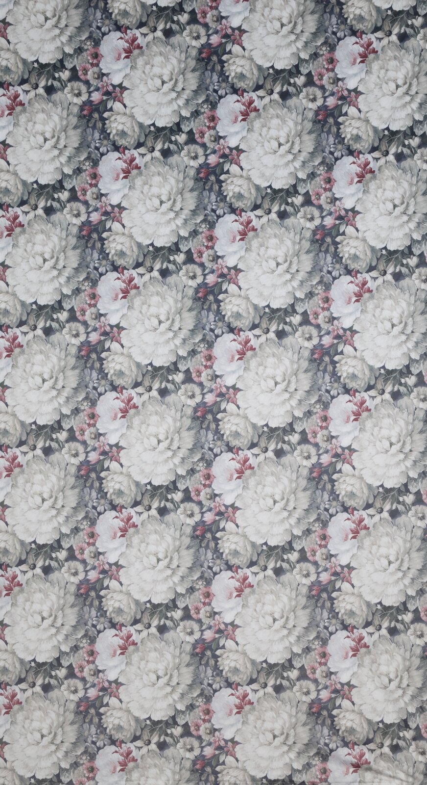 2b68eeae506bfa23b2da1df22283a32d